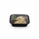 Food Container Food Plastico Togo 805 with Lid Bandeja Sushi Black Box Bento 5,4