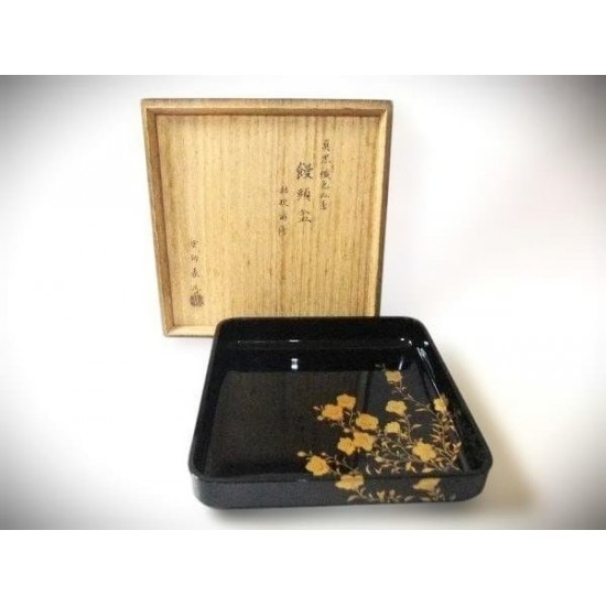Jubako Bento Box Japanese Puro Black Cera Color Lacado Manju Bandeja Kikyo Makie